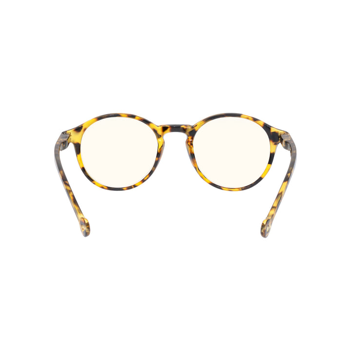 VOLGA MOROCCO TORTOISE