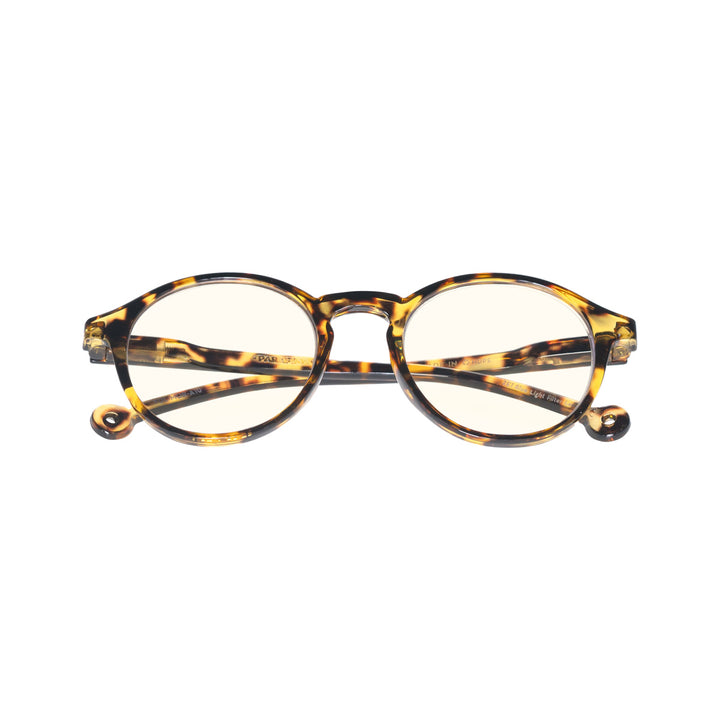VOLGA MOROCCO TORTOISE