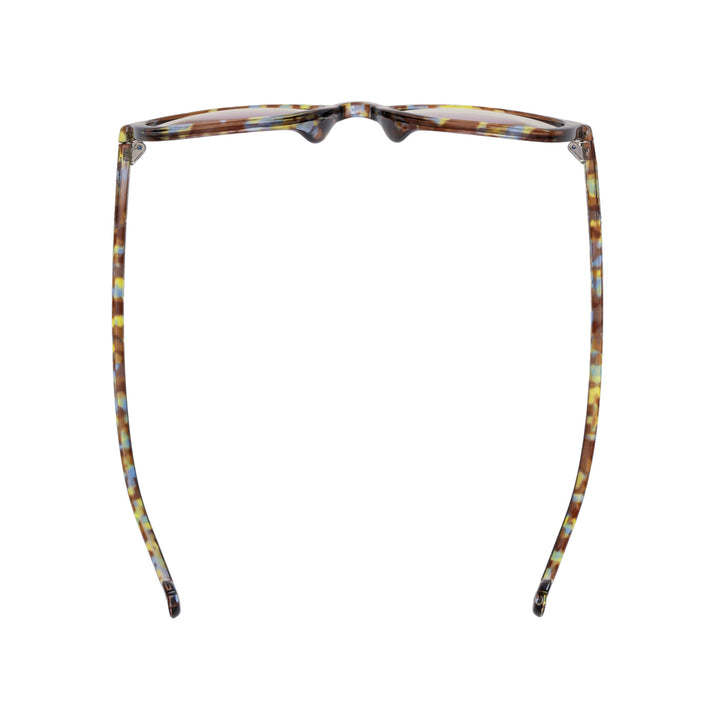 TIGRIS BLUE TORTOISE