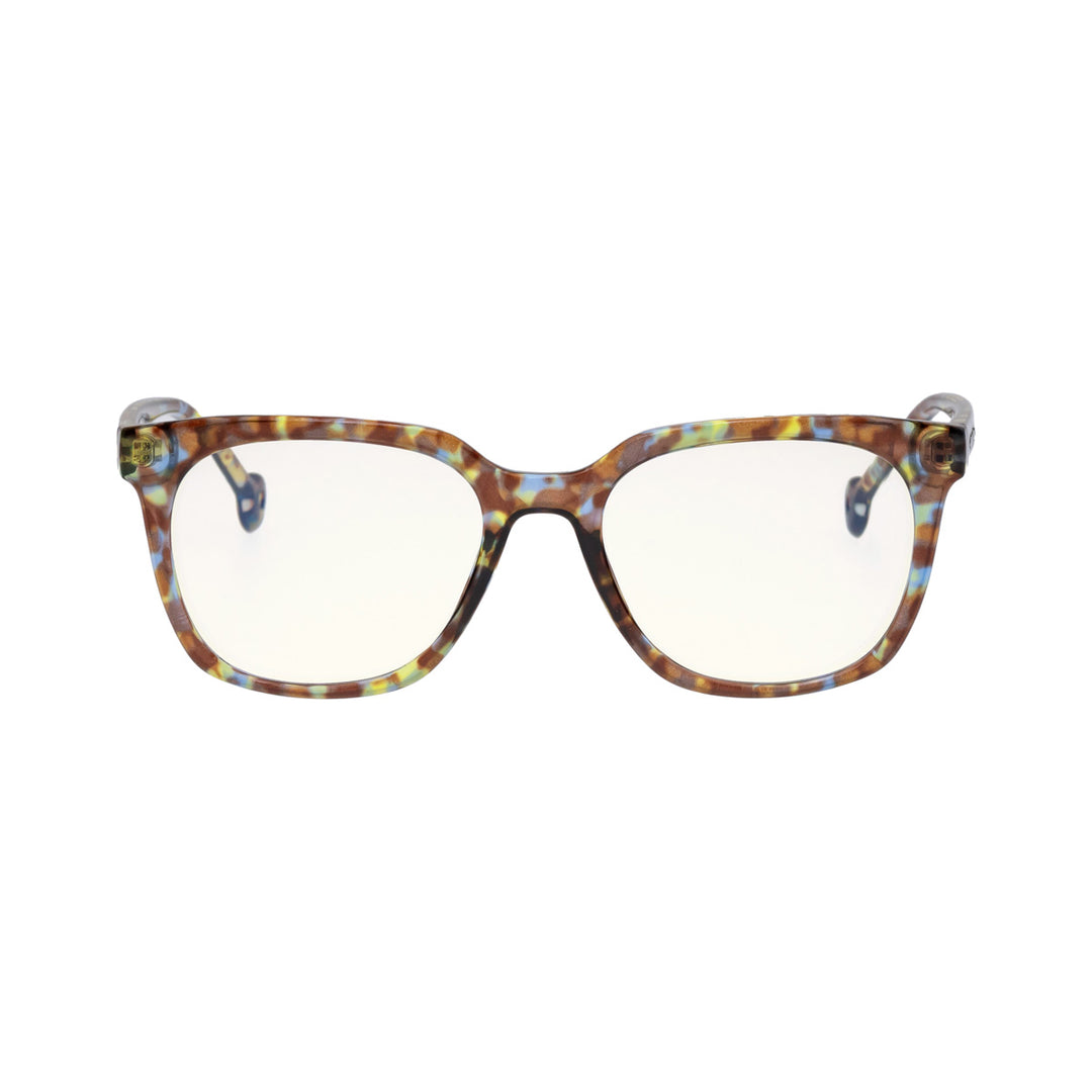 TIGRIS BLUE TORTOISE