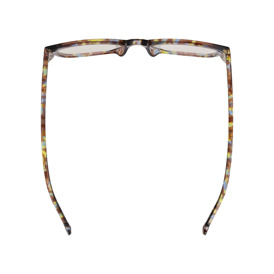 TIGRIS BLUE TORTOISE