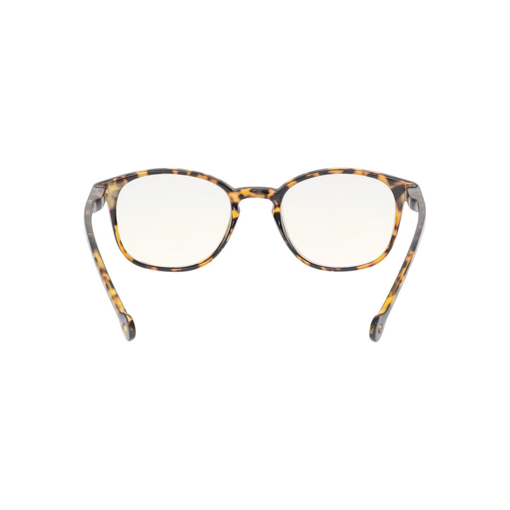SENA MOROCCO TORTOISE