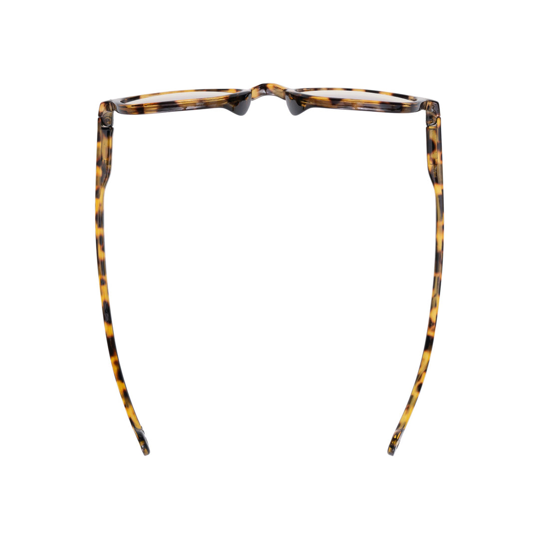 SENA MOROCCO TORTOISE