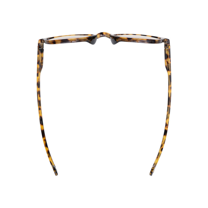 SENA MOROCCO TORTOISE