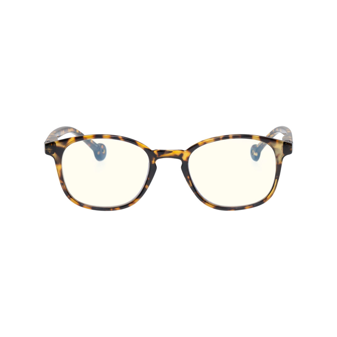 SENA MOROCCO TORTOISE