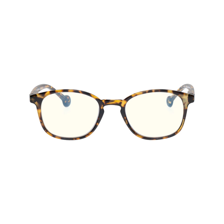 SENA MOROCCO TORTOISE