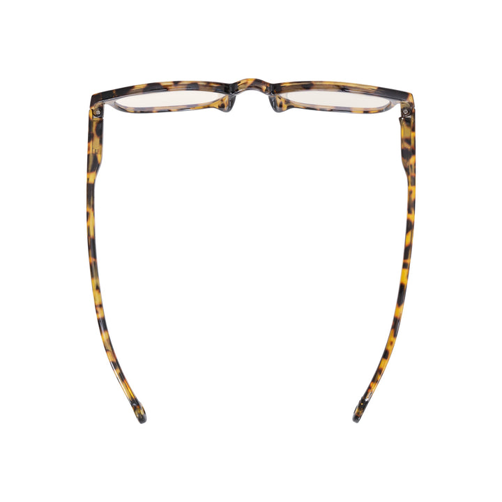 SENA MOROCCO TORTOISE