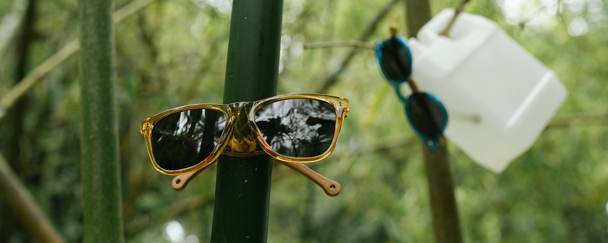 パラフィナについて img2