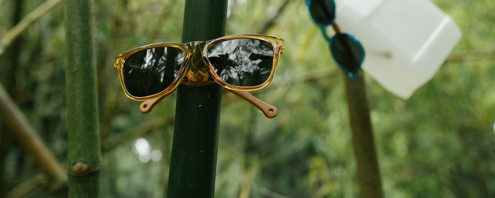 オーガニック バンブー img